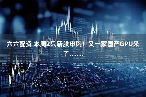 六六配资 本周2只新股申购！又一家国产GPU来了……