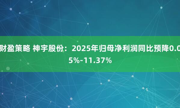财盈策略 神宇股份：2025年归母净利润同比预降0.05%-11.37%