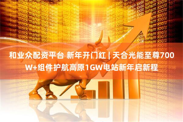 和业众配资平台 新年开门红 | 天合光能至尊700W+组件护航高原1GW电站新年启新程